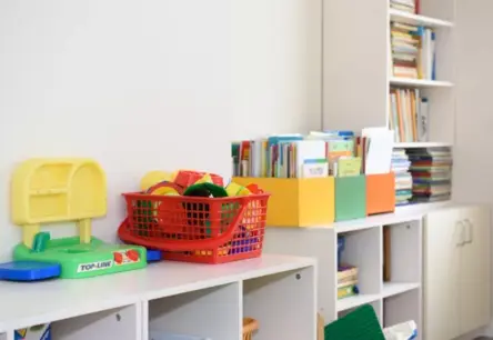 Nicinājums pret Valsts Valodu: Rīgas Bērnudārza Skolotāja Atlūgums un Plašās Sekas