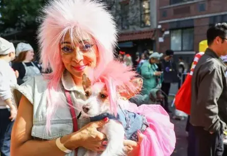 Ņujorkā notiek krāšņa 35. ikgadējā Halovīna suņu parāde