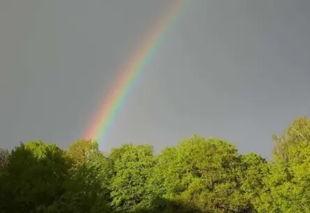 Otrdien Latvijā dzestrs rīts, saulaina diena un īslaicīgs lietus