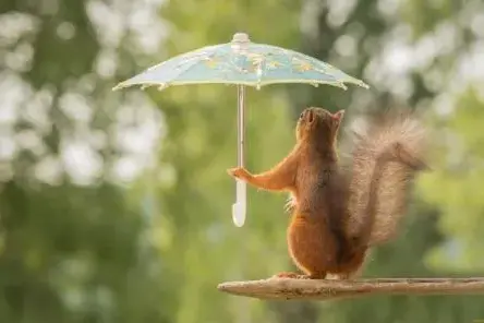 Otrdien Latvijā gaidāms lietus ar pērkona negaisiem; temperatūra līdz +20 grādiem