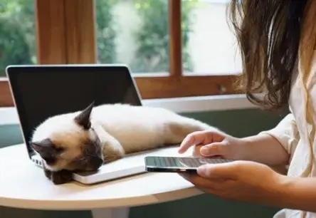 PTAC saņem 56 sūdzības par interneta platformu rīcību – bloķēti profili un atteikts atjaunot piekļuvi