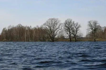 Pašvaldības pieprasa vairāk nekā 400 000 eiro kompensācijas par lietavu nodarītajiem postījumiem ceļiem