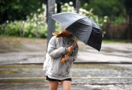 Pēc Jāņiem Vidzemi Pārklāj Trešdaļa Mēneša Lietus Normas: LVĢMC Izsludina Dzelteno Brīdinājumu un Aicina uz Modrību
