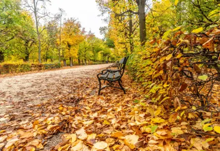 Pēc nedēļas sāksies astronomiskais rudens: sagatavojieties laikapstākļu pārmaiņām