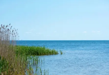 Pēkšņi notikumi: drons Peipusā un lidmašīna Tallinā atklāj pieaugošo spriedzi reģionā