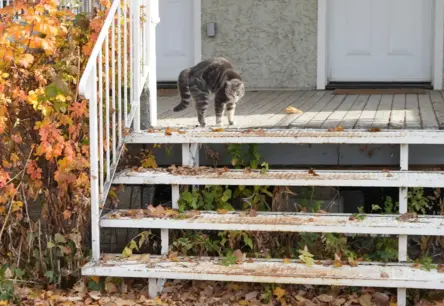 Piektdien Latvijā gaidāms siltāks laiks, bet bez spožas saules