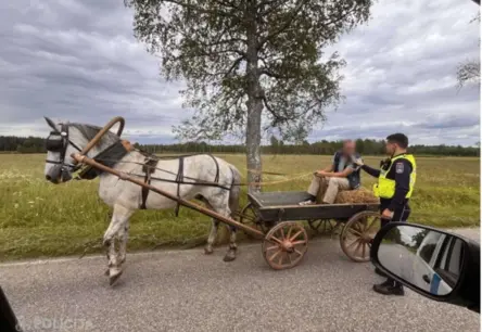 Policija Pirms Līgo Svētkiem Pastiprina Pārbaudes: Skarbā Realitāte un Zirgu Pajūgu Vadītāju Pārsteidzošā Iekļaušana Ceļu Drošības Kontrolē
