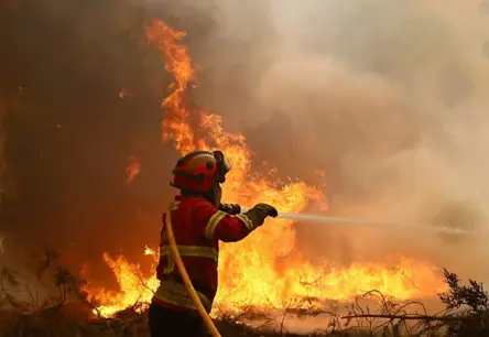 Portugāles dezinformācijas krustugunis: Imigrantu pabalsti un ugunsdzēsēju algas
