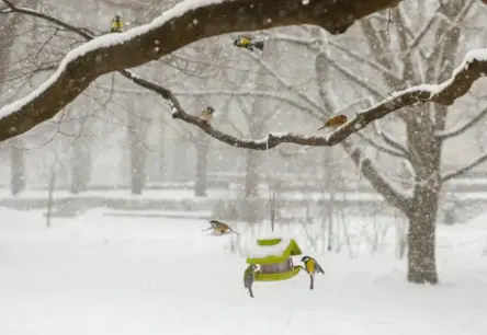 Prognozes ziemai nav iepriecinošas: Atlantijas okeāna izmaiņas draud ar bargu salu un neparastiem laikapstākļiem Eiropā