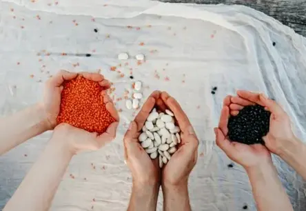 Pupuliņu spēks: Kā gudri izvēlēties pupas veselīgam un ilgam mūžam