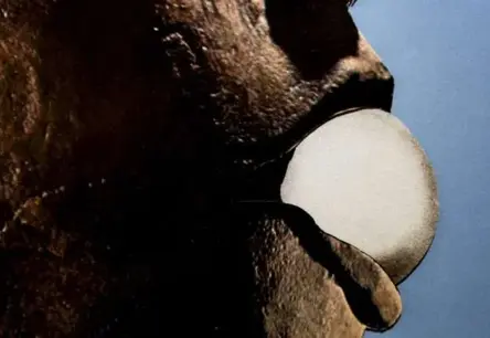 Riga IFF īsfilmu konkurss: 30 stāsti par rūpēm aicina uz emocionālu kino ceļojumu oktobrī