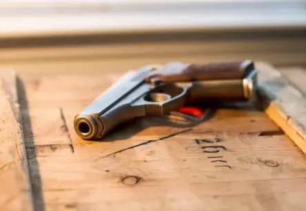 Rīgā dzīvoklī atrastas divu cilvēku mirstīgās atliekas – viena persona ar šautu brūci; sākts kriminālprocess par slepkavību