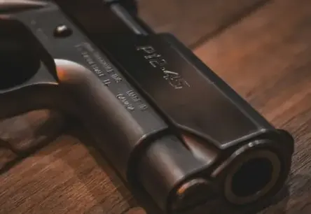 Rīgā dzīvoklī atrasti divu cilvēku mirstīgās atliekas ar šautu brūci; sākts kriminālprocess par slepkavību