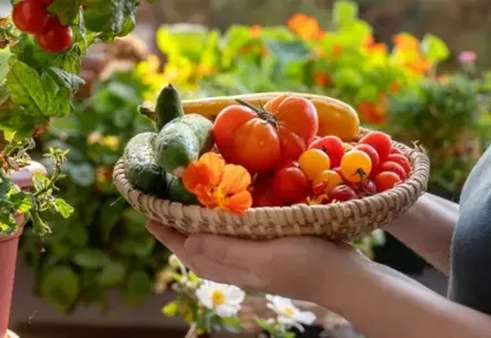 Rudens ražas glābšanas plāns: kā gudri izmantot un uzglabāt lauku labumus