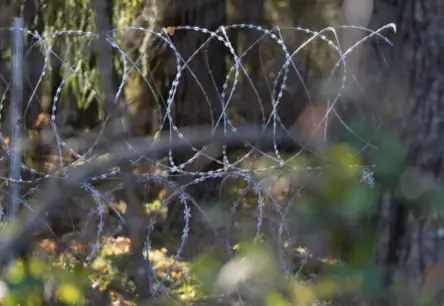 Saeima pieņem likumu austrumu robežas stiprināšanai: mazāk birokrātijas, vairāk drošības