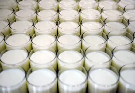 Satraucoši Brīdinājumi: Kā Ekstrēmi Karstuma Viļņi Draud Pasaules Piena Ražošanai un Mūsu Ikdienas Galdam