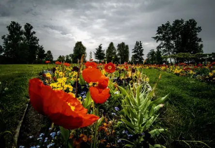 Sestdienas Laikapstākļi: Gaidāms Pērkona Negaisas Risks TIKAI Alūksnes Apkaimē