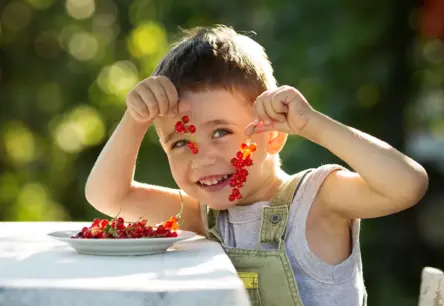 Sezonas dārgumi uz tava galda: Kā ogas, augļi un dārzeņi vairo veselību?
