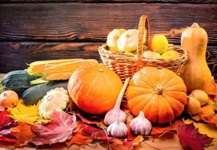 Sildošā rudens virtuve: kā uzturēt spēcīgu imunitāti ar vitamīniem un garšīgiem ēdieniem
