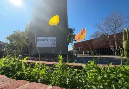 Simtgadīgs Austrālijas ūdenstornis atdzimst kā unikāla grāmatnīca Vodongā
