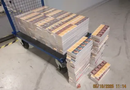 Sīpolu kravās paslēpti vairāk nekā 3,6 miljoni kontrabandas cigarešu no Krievijas