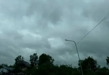 Stiprs vējš Rīgā: aicina izvairīties no parku apmeklējuma lūstošo koku dēļ