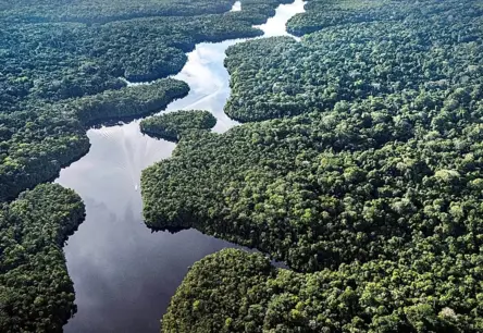 Vācija sniegs ievērojamu atbalstu Brazīlijas tropu mežu saglabāšanas iniciatīvai