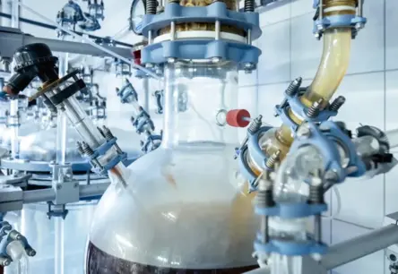 Vācu Startaps Melno Sēņu Palīdzību Pārveido Plastmasas Atkritumus Augstas Kvalitātes Materiālos