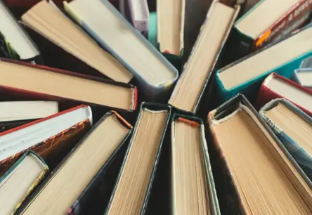 Vai visas kļūdas ir labojamas? Egīla Ventera romānu neatrisināmās dilemmas