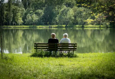 Vairāk nekā 10 000 parakstu savākti aicinājumam pedagogiem doties pensijā agrāk: sabiedrības kliedziens par izglītības nākotni
