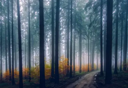 Vērmontas Beningtonas Trijstūris: Mīklu Apvītais Reģions, Kur Cilvēki Pazūd Bez Vēsts