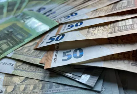 Viltus Zvans un Dvieļos Ietīgtā Nauda: Apsūdzības Par 52 Tūkstošu Eiro Krāpšanu Organizētā Grupā