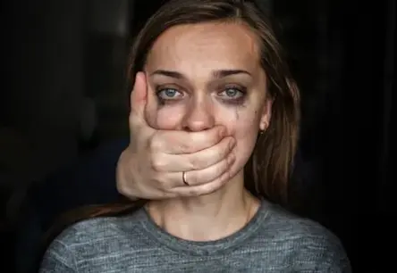 ZZS kritika KM un IZM: Vai "dzimtes ideoloģija" aizēno Stambulas konvencijas mērķus?