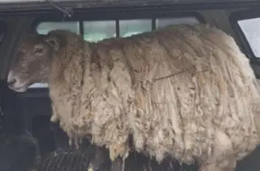 Aita Filona: Stāsts par divu gadu vientulību un negaidītu glābšanu Skotijas krastā