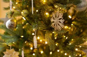 Aizkraukle meklē 12 metrus garu svētku egli centrālā laukuma rotāšanai