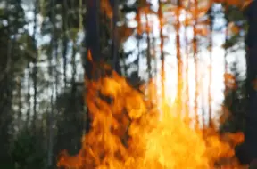 Augšdaugavas novadā dzēsts paaugstinātas bīstamības ugunsgrēks