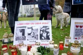 Bauskas suņu nošaušanas lietā: iespējama kriminālatbildība četrām personām