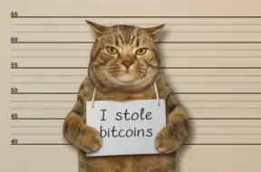 Bez pajumtes palikušie kaķi apturēja Bitcoin ieguves fermu, radot miljonu dolāru zaudējumus