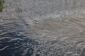 Bīstama situācija Daugavā: dienesti monitorē ietekmi no Baltkrievijas naftas rūpnīcas ugunsgrēka