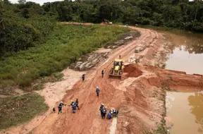 Brazīlija un COP30: Patiesība par 100 000 nocirstajiem kokiem