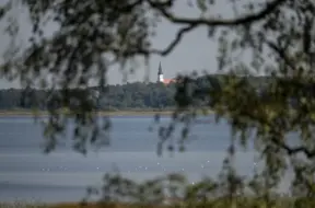 Burtnieka ezera krasta zona atdzīvojas: sesto gadu pļauj ūdensaugus līdaku nārsta veicināšanai