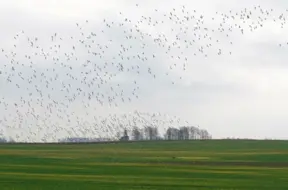 Ceturtdien Kurzemē gaiss iesils līdz +14 grādiem, Latvijā valdīs pavasarīgs siltums