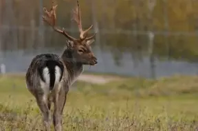 Ceturtdien debesīs cerība: cauri mākoņiem uzspīdēs saules stari