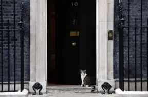 Dauningstrītas slavenais kaķis Lerijs kļūst par televīzijas seriāla zvaigzni