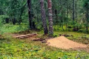 Gaujas Nacionālajā parkā atklāta nelikumīga «downhill» trase, apdraudētas dabas vērtības