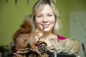 Grauzēji dabā un cilvēku tuvumā: Neatsverama loma ekosistēmā un izaicinājumi sadzīvē