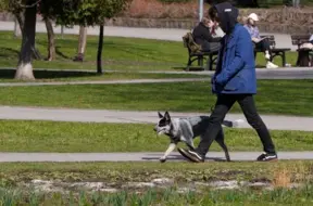 Jaunieši Latvijā: Augstākā izglītība un ilgāka dzīvošana pie vecākiem kā jauna norma