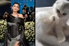 Kailija Dženere iepriecina fanus ar jaunu, noslēpumainu baltu kaķēnu