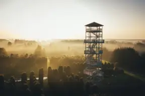 Kalsnavas arborētums svin 50. jubileju – Vidzemes dārgums ar pasaules mēroga kolekciju