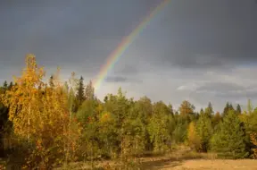 Latvijai tuvojas nokrišņu zona: zināms, kur gaidāms stiprākais lietus